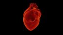 AI Could Help Predict Heart Attacks