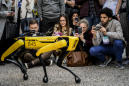 Robots 'not evil' says Boston Dynamics as humanoids go viral