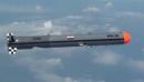 India's Nirbhay cruise missile test fails