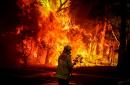Sydney Faces 'Catastrophic' Fire Danger Amid Record Heat