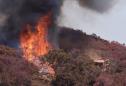 Central California wildfire grows as hot, dry conditions persist