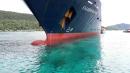 Indonesia vows action after UK cruise ship ruins coral reef