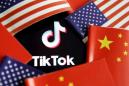 TikTok asks judge to block U.S. from barring app for download