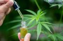 Scientists answer whether the popular CBD oil trend is legitimate (and legal)