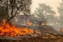 'Erratic' winds, dry conditions fuel deadly California fires