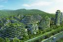 China's verdant 'forest city' will fight pollution with a million plants