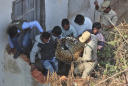 Leopard runs into house before being captured in south India
