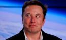 Elon Musk hires man behind 'absolute unit' sheep meme to run Tesla's social media