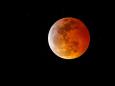 Florida police run over couple lying in the road to watch lunar eclipse